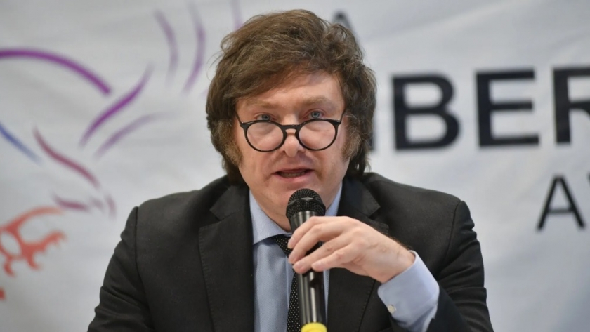 Planes sociales: qué pasará en el gobierno de Javier Milei