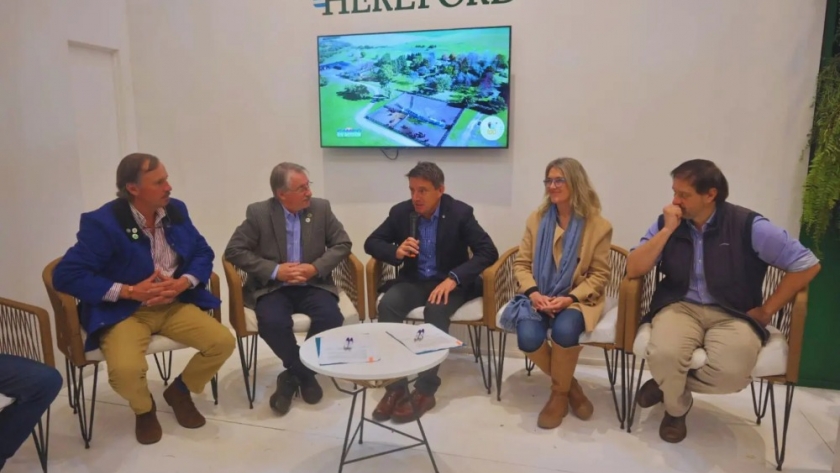 Hereford Argentina y el INTA buscan mejorar la productividad ganadera