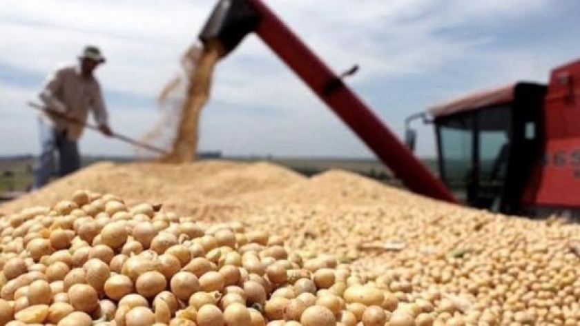 India anuncia nuevas medidas que benefician a las exportaciones sojeras argentinas