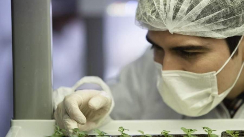 El largo camino para automatizar la agricultura en Chile