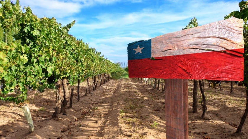 Declaración de la FARM ante los graves incidentes de inseguridad en Chile