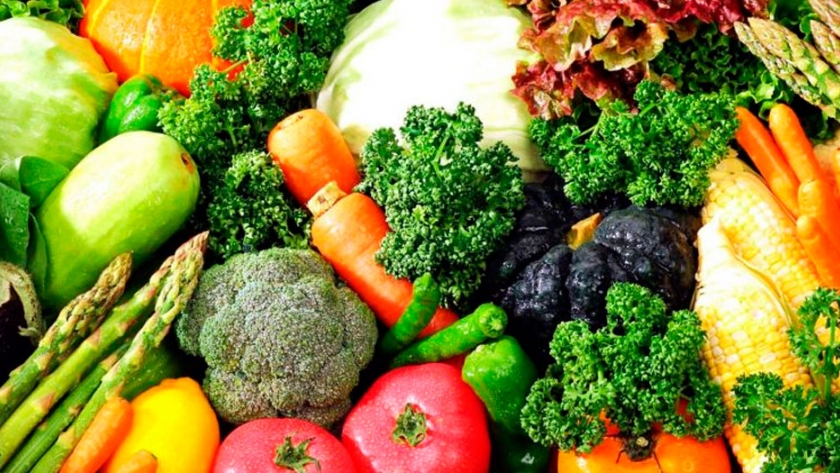 Proponen reforzar los sistemas de producción y distribución de alimentos