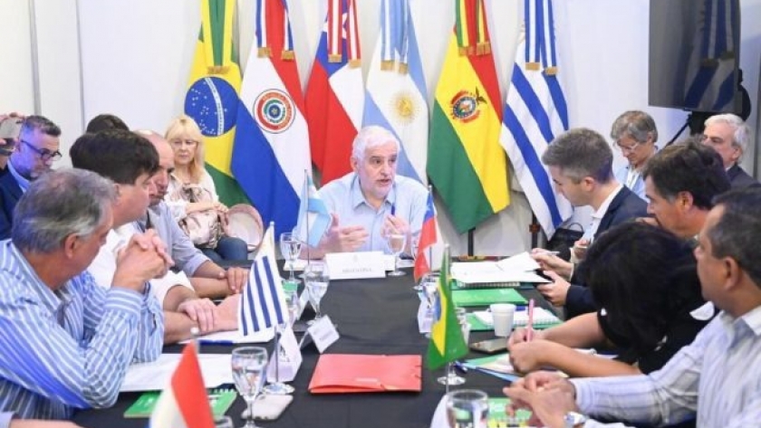 Fernando Vilella estará al frente del Consejo Agropecuario del Sur