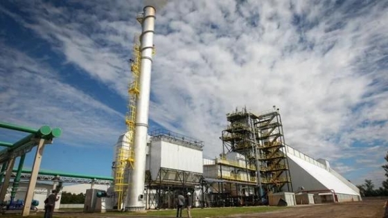 Bioenergía en General Cabrera: 10 MW con cáscara de maní