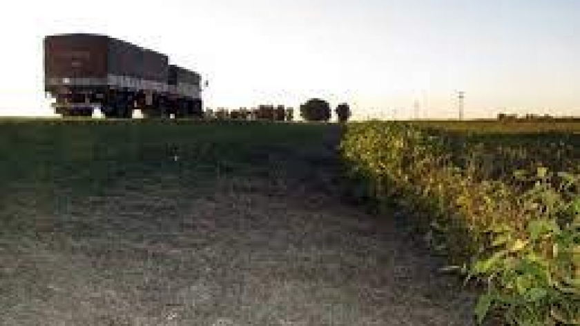 Argentina cae entre los agroexportadores