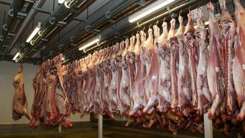 La faena bovina fue la más alta en 6 años