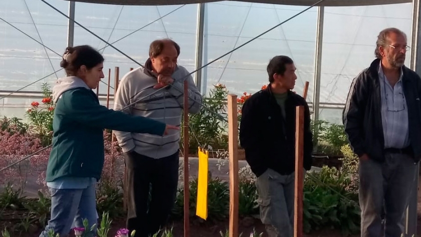 Cómo funciona el Centro Demostrativo Florícola