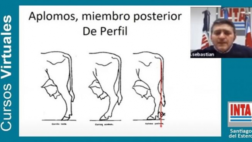 Culminó el dictado del Curso Virtual Teórico de Reproducción Bovina del INTA Santiago