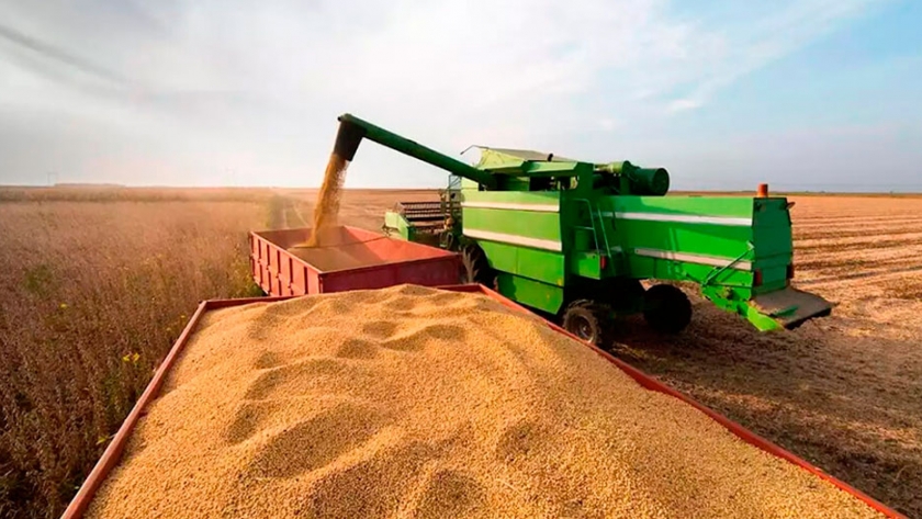 Brasil proyecta un récord histórico productivo de 268,9 millones de toneladas de granos