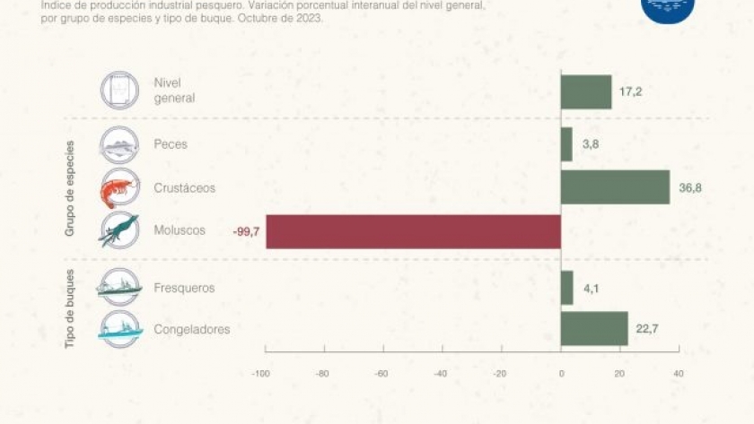 Se recupera la pesca