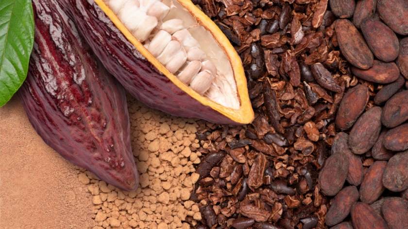 Biotechnology to the rescue of cocoa and coffee: is cell culture a sustainable solution?