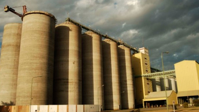 La agroindustria de la cerveza