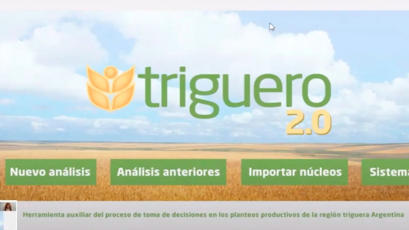 Un tutorial explica cómo agregar certidumbre técnica a la siembra de trigo con tecnología simple