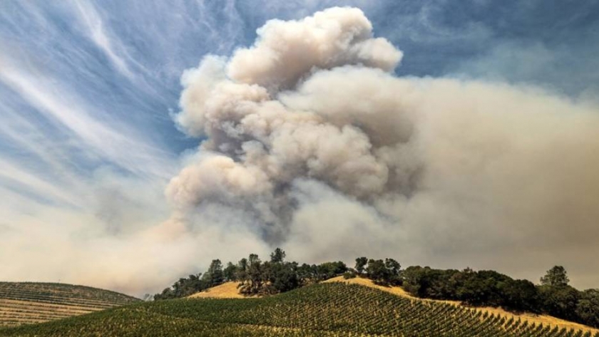 El fuego amenaza el vino de California