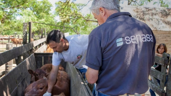 Senasa en la mira: expertos advierten sobre riesgos sanitarios por productos sin evaluación local