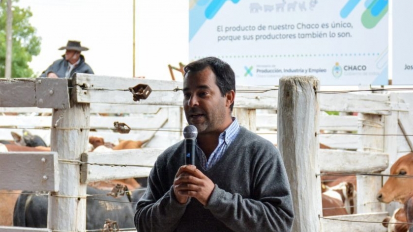 Producción acompañó con un nuevo remate ganadero el 22° Festival del Ternero Chaqueño