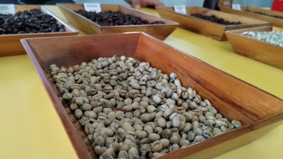 “Pura vida”: Crónica de una visita a una tradicional hacienda de Costa Rica, donde los ticos se enorgullecen de producir, al pie de los volcanes, “el mejor café del mundo”