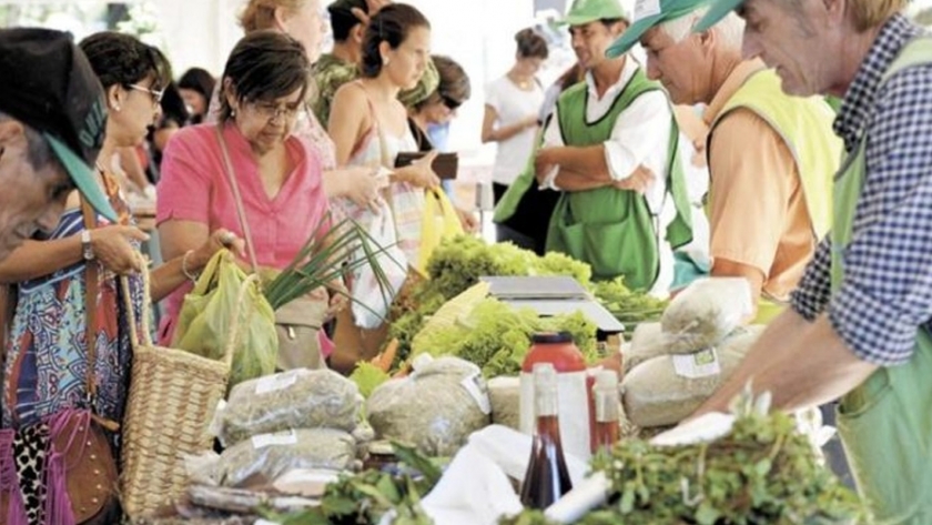 Nuevas estrategias de venta de productos de chacras misioneras