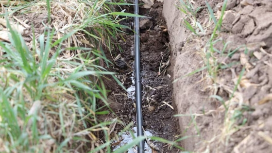 Riego por goteo solar: el INTA Manfredi demuestra que la eficiencia puede ser sustentable y rentable