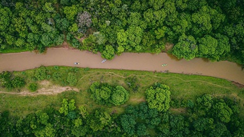 En el Chaco los bosques se gestionan de manera responsable