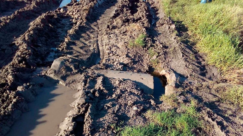 El 71% de la red de caminos rurales bonaerenses se encuentra en mal estado