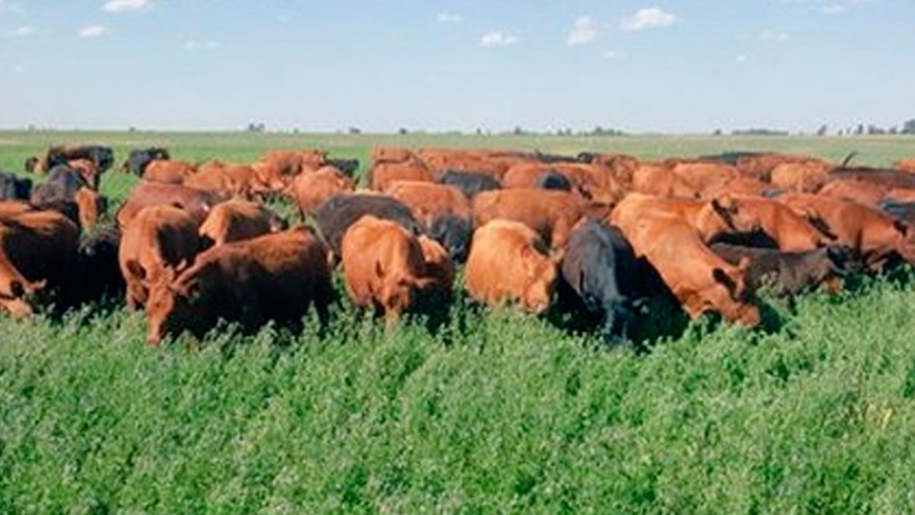 Fertilización estratégica para acortar el invierno