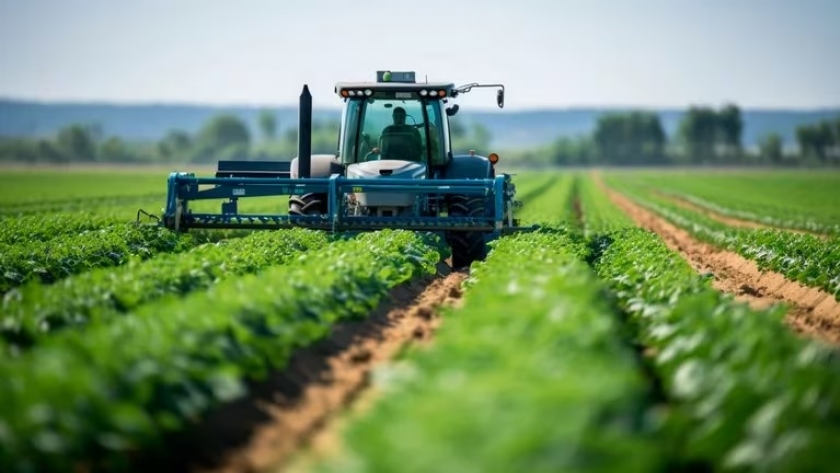 Biodiversidad: por qué es clave el equilibrio del ecosistema para producir más y mejores alimentos