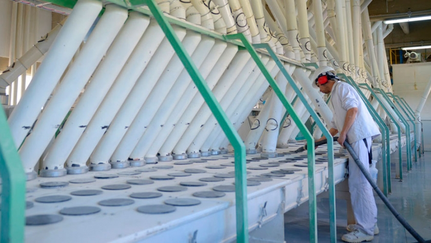 Trigo: INTI creó un patrón de parámetros industriales para harina, que es único en la región