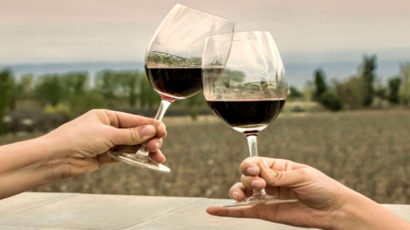Por qué se celebra hoy el Día Internacional del Malbec