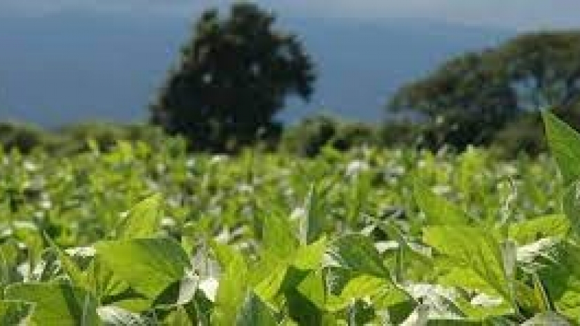 Seminario Acsoja 23: abordando nuevos desafíos