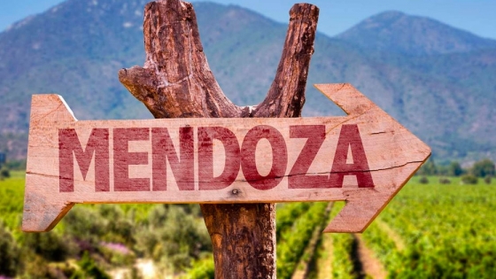 Mendoza: tierra del sol y del buen vino