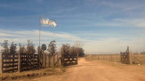 Argentina y su deuda en la diplomacia agroexportadora: el desafío de ampliar su red de agregados agrícolas
