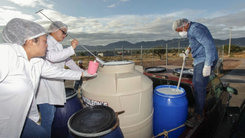 Al alza la producción de leche en México