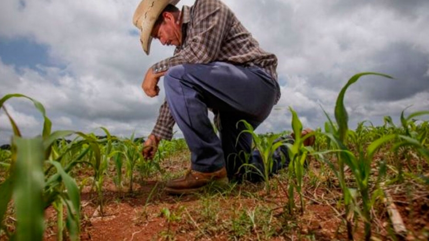 Localidades bonaerenses impulsan una contribución obligatoria para los productores