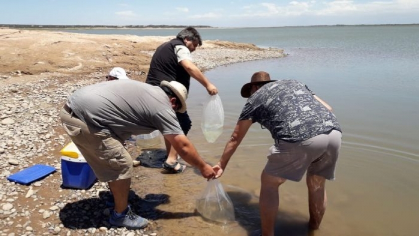 Aplican un plan conjunto para mejorar la calidad de pesca en el embalse El Carrizal