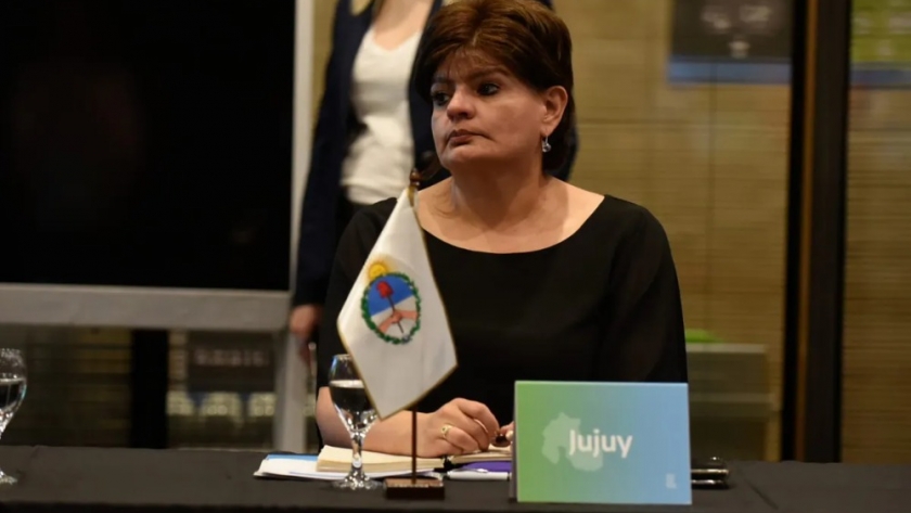 Aportes de Jujuy en el debate sobre la estrategia nacional para el Uso de los Mercados de Carbono