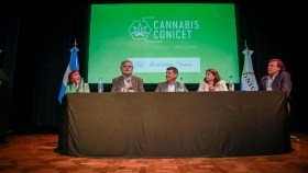 Se anunció la creación de la empresa de base tecnológica pública “Cannabis CONICET”