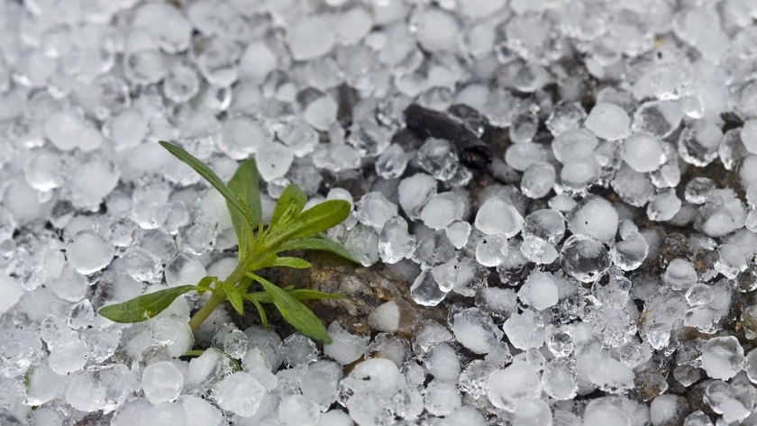 Nación declara la emergencia agropecuaria en Río Negro por sequía, heladas y granizo