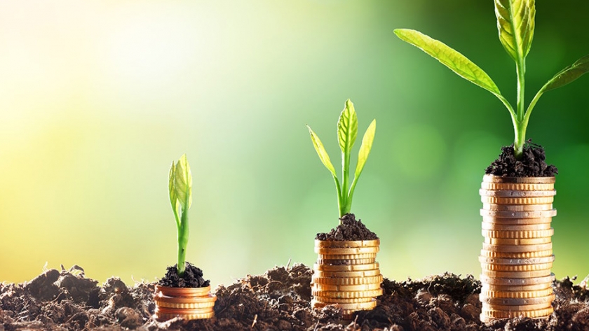 Funcionarios del Ministerio de Economía participaron de un webinar sobre finanzas sustentables
