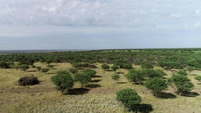 La Provincia comprará 5.000 hectáreas para concretar el “Parque Nacional El Caldenal”