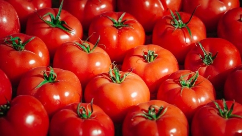 Tomate: un fruto que supera las expectativas y promete un sostenido crecimiento