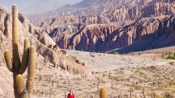 San Antonio de los Cobres: donde la puna abraza los cielos salteños