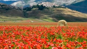 La relación entre el paisaje y nuestro bienestar