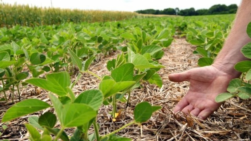 Las prácticas de agricultura regenerativa traen beneficios