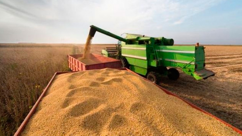 El Gobierno incrementa las devoluciones a los productores de granos