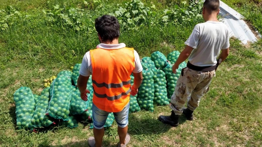 Se evitó el consumo de limones que no cumplian las condiciones higiénico-sanitarias