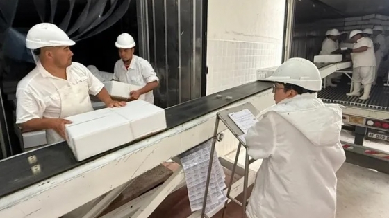 Desde la Patagonia al Golfo: un frigorífico rionegrino retoma envíos de carne ovina con destino Qatar