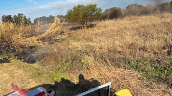 Vuelven los incendios al Delta del Paraná: dos nuevos focos frente a Rosario y Granadero Baigorria