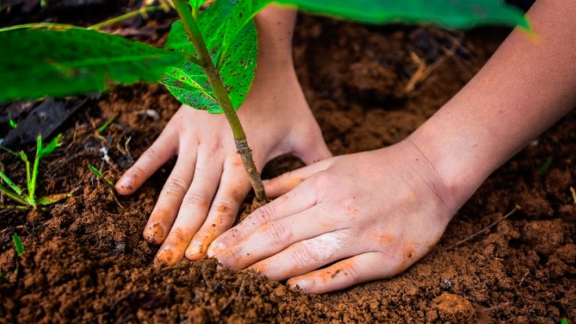 La FAO pide que se elaboren más productos con cultivos autóctonos