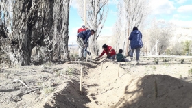Provincia colabora con la escuela de Cerro Cóndor en forestación y producción hortícola